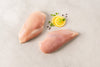 Free Chicken Breasts For A Year