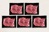 Premium Steak Tips Blast