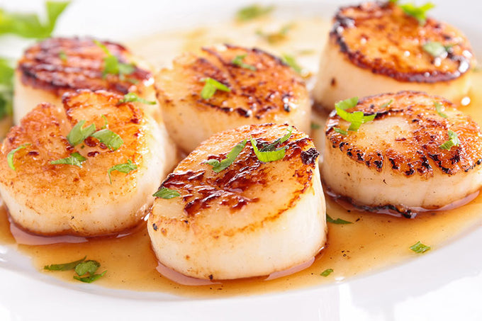 Wild-Caught Sea Scallops